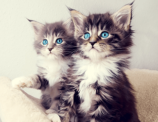 低空無(wú)人機(jī)測(cè)繪：高效、精確、廣泛應(yīng)用的新興技術(shù)